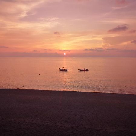 Camping B&B Gioiosa Gioiosa Marea Eksteriør billede