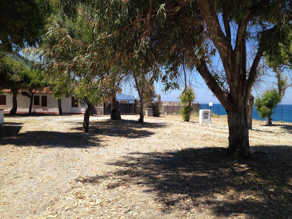 Camping B&B Gioiosa Gioiosa Marea Eksteriør billede