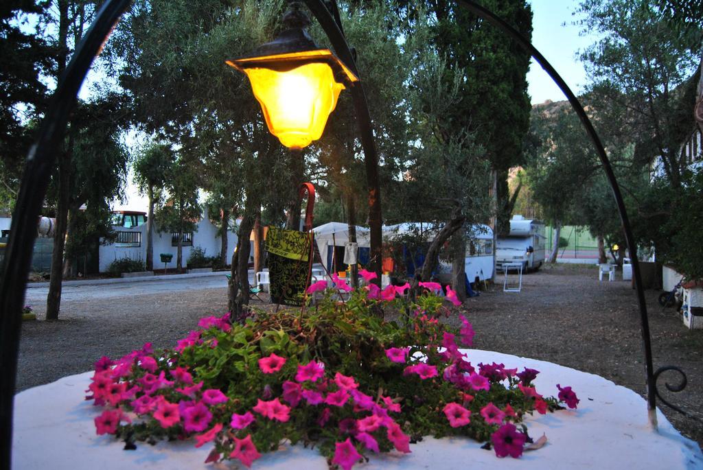 Camping B&B Gioiosa Gioiosa Marea Eksteriør billede
