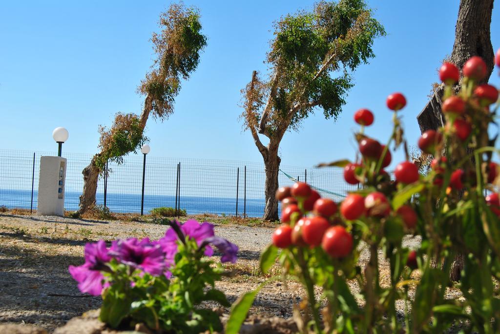 Camping B&B Gioiosa Gioiosa Marea Eksteriør billede