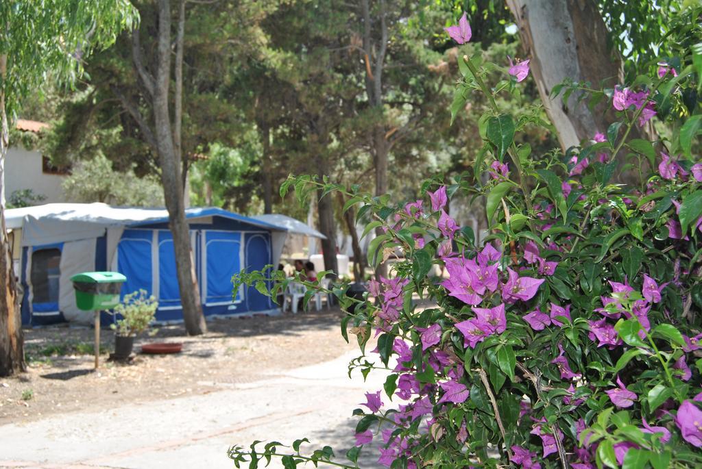 Camping B&B Gioiosa Gioiosa Marea Eksteriør billede
