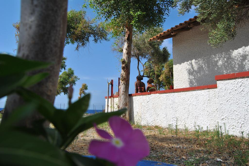 Camping B&B Gioiosa Gioiosa Marea Eksteriør billede
